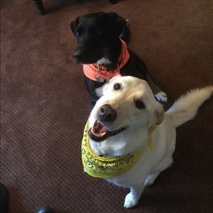 Meet your Posher, John